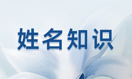 世取名含义 世取名字