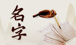 2022年属虎双胞胎取名字 四字成语双胞