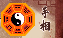 木型手什么样