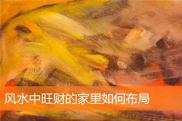 风水中旺财的家里如何布局