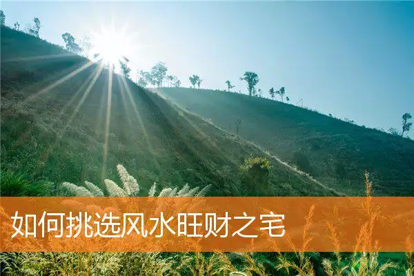 如何挑选风水旺财之宅