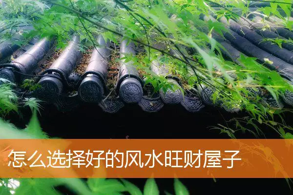 怎么选择好的风水旺财屋子
