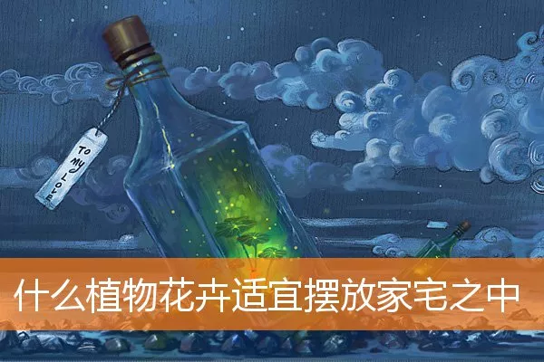 什么植物花卉适宜摆放家宅之中