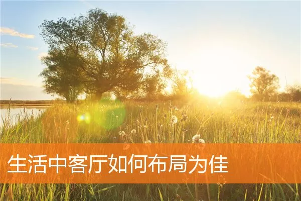 生活中客厅如何布局为佳