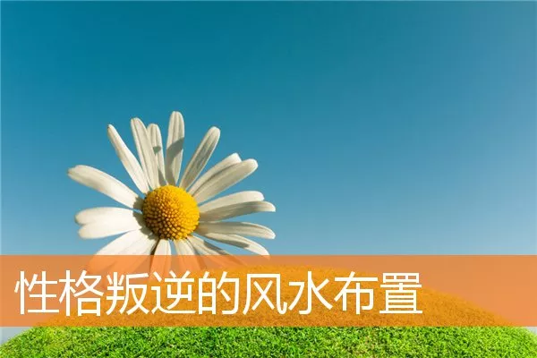 性格叛逆的风水布置
