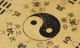 己巳日出生的人八字命运如何？
