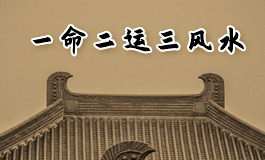 客厅摆放花能够改善风水吗