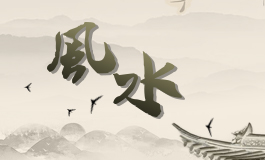 家养龙血树的寓意和象征 龙血树盆栽的寓意
