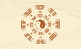 玉兰花的寓意和风水