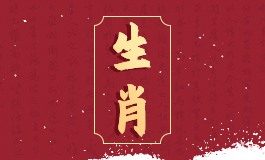 虎兔属相合不合