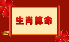 今年是什么命年
