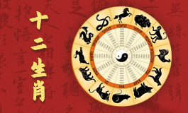 属虎2024年有大喜缠身 属虎2024年