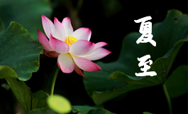 芒种是几月几号 芒种的含义和风俗