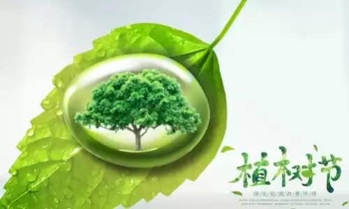 植树节是几月几日？一分钟读懂它的由来